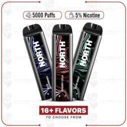 North 5000 Puffs Disposable Vape