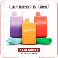 Geek Bar B5000 Disposable Vape