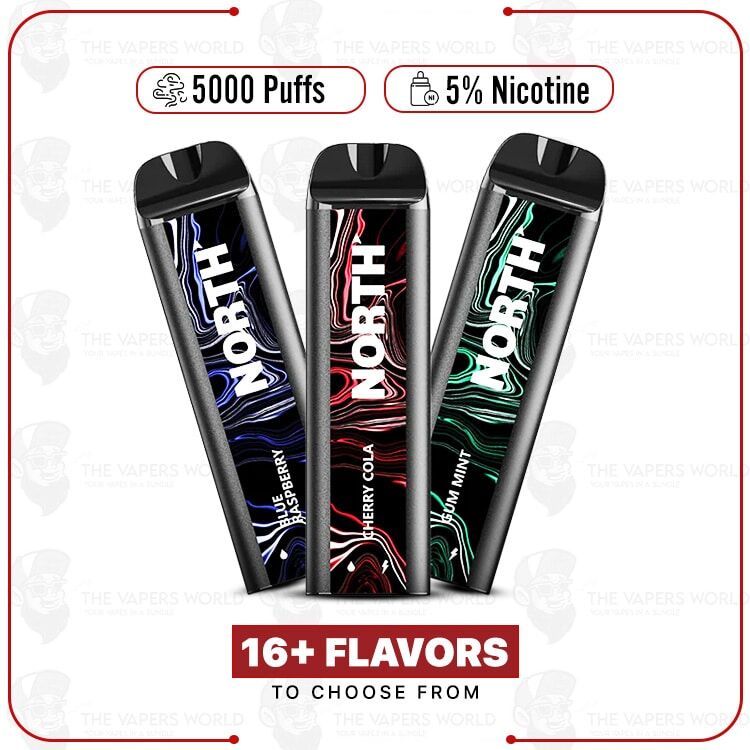 North 5000 Puffs Disposable Vape