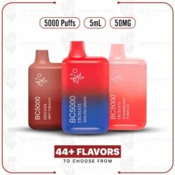 BC5000 Vape Disposable