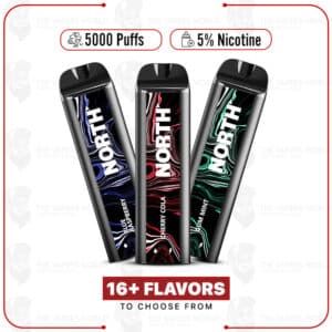North 5000 Puffs Disposable Vape