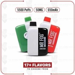 Mr Fog Switch SW5500 5% 5500 Puffs Disposable