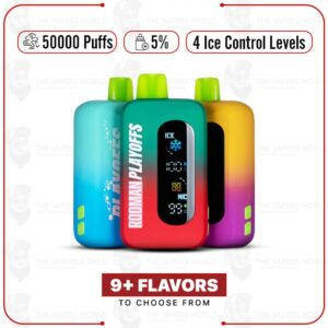 RODMAN Playoffs Ice-Nic Control 50K Puffs Disposable
