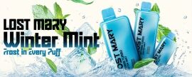 Lost Mary Winter Mint