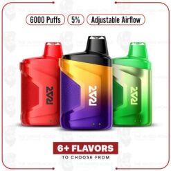 RAZ CA6000 VAPE DISPOSABLE 6000 PUFFS