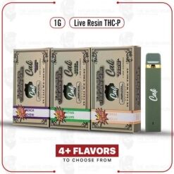 Cali Extrax Loose Change THC-P Live Rosin Badder Disposable – 1G