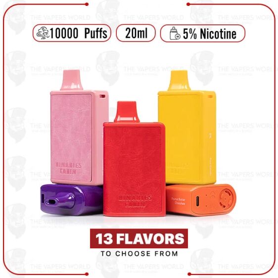 Horizon Binaries Cabin Disposable 10000 Puffs