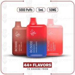 BC5000 Vape Disposable