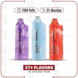 Lost Mary Disposable Vape Device MO5000