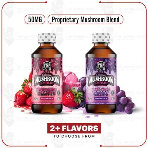 TRĒ House Magic Mushroom Blend Syrup – 4 oz