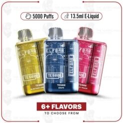 TE5000 Disposable Vape