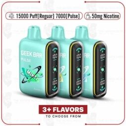 Geekbar Pulse Mintz Edition